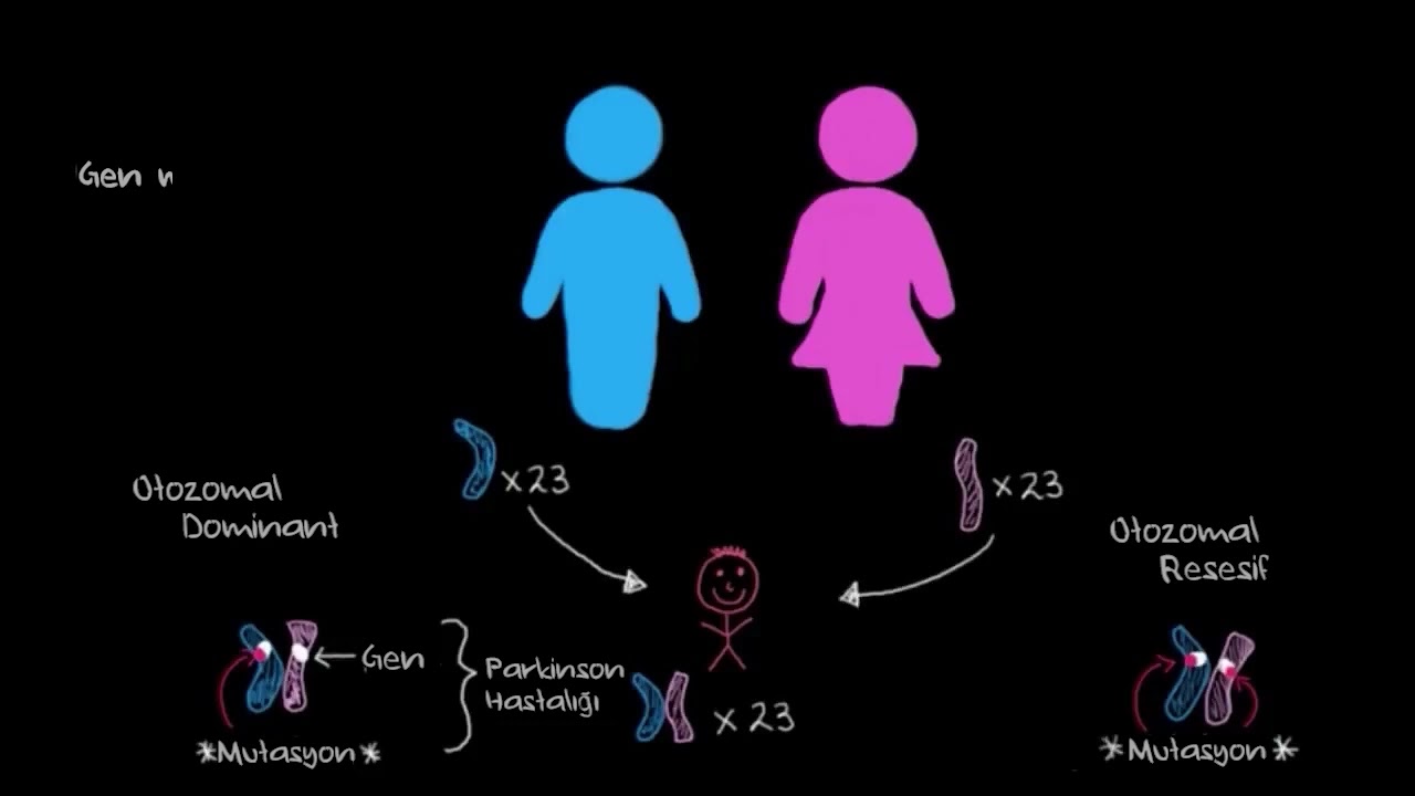 Genetik ve Parkinson Hastalığı (Sağlık Bilgisi ve Tıp)