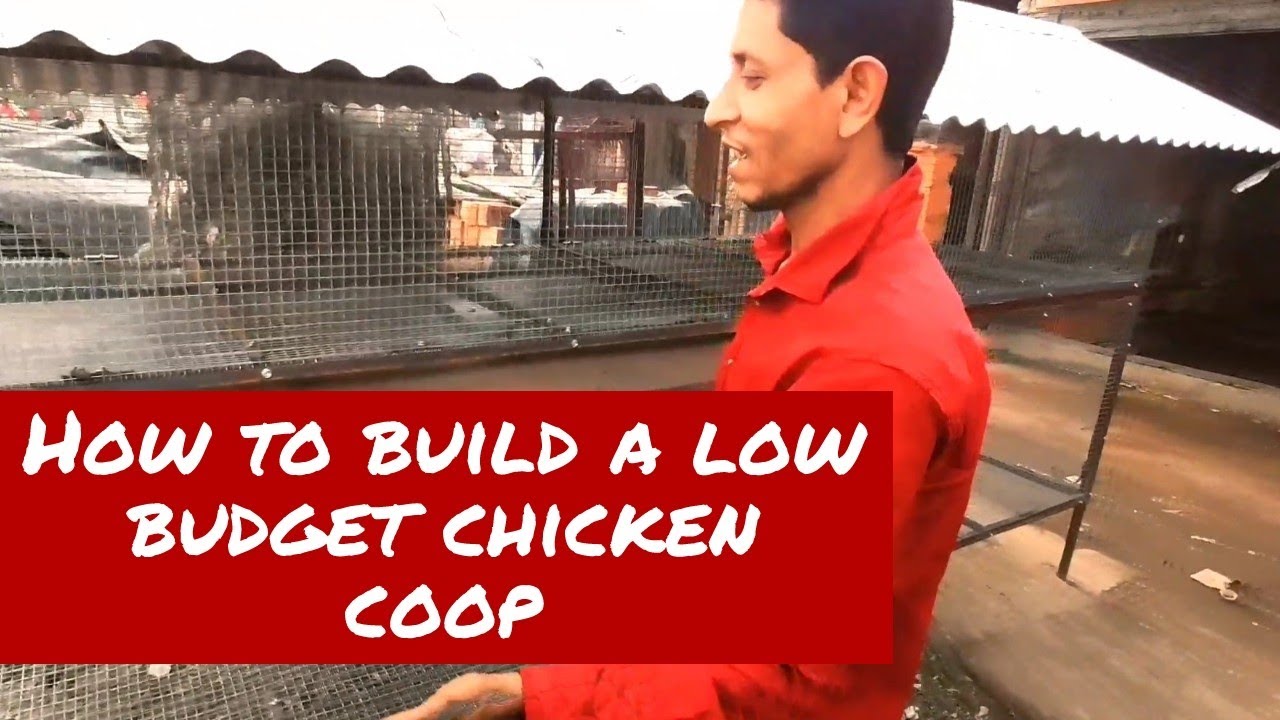 How To Build A Low Budget Chicken Coop ? | Low Budget Chicken Coop Design