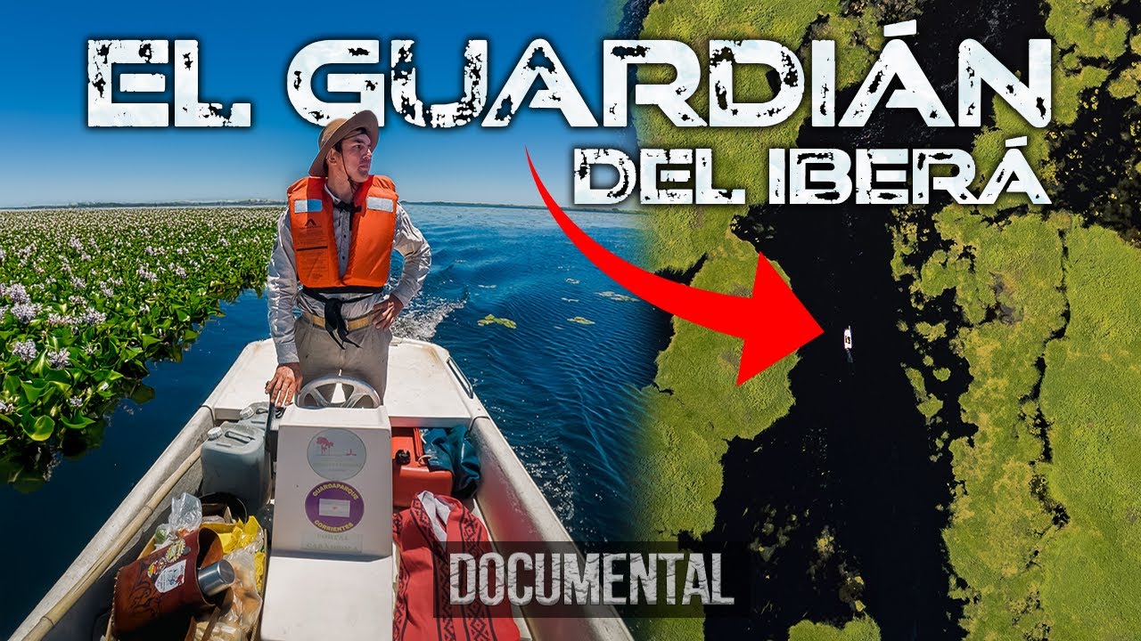 Keneke: El Guardián de los Esteros del Iberá 🌿 | Documental