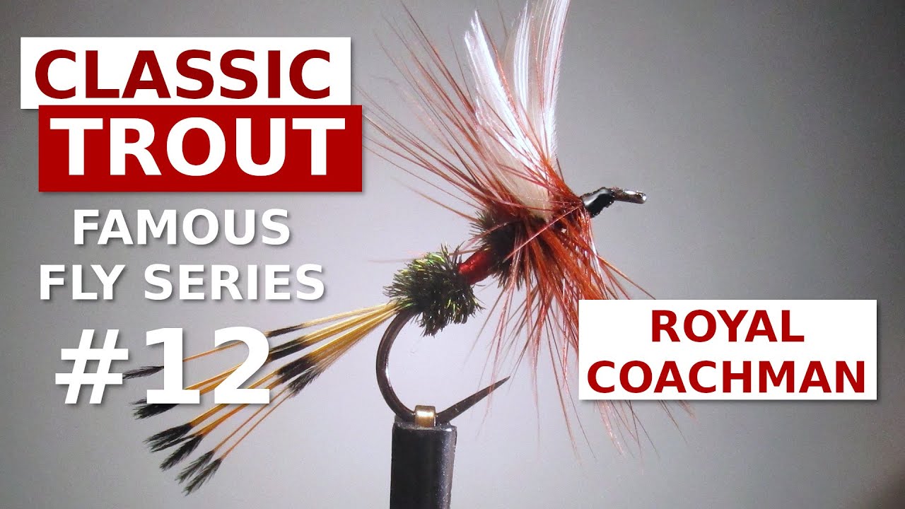 Royal Coachman — Вязание оригинальной американской сухой мушки