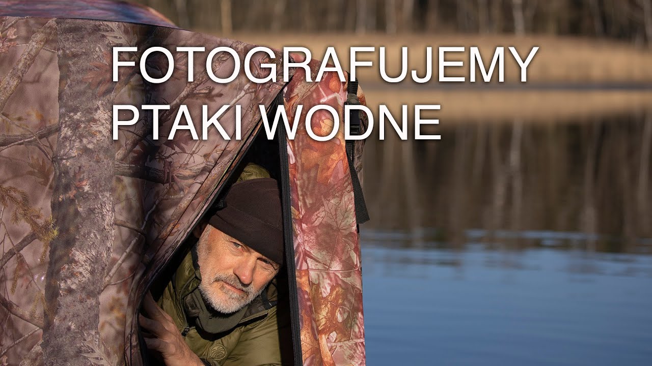 Fotografowanie ptaków wodnych z pływającej czatowni. Z życia fotografów przyrody.