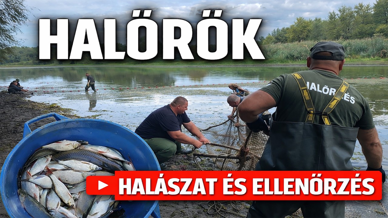 Halőrök - Halászat, halőrzés, és minden más #horgászat #halado #halőrök