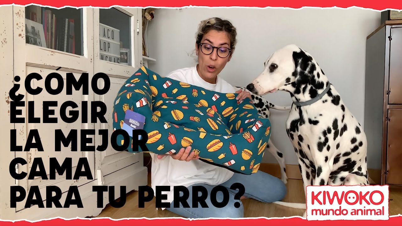 🐶&iquest;Cu&aacute;l es la mejor cama para mi perro?