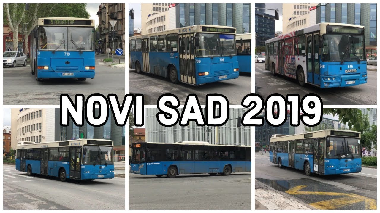 Novi Sad Buses | Autobusi u Novom Sadu | Compilation
