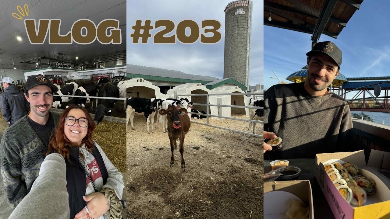 VLOG #203 - Visites de fermes, haul Mp Collection & dimanche réconfortant