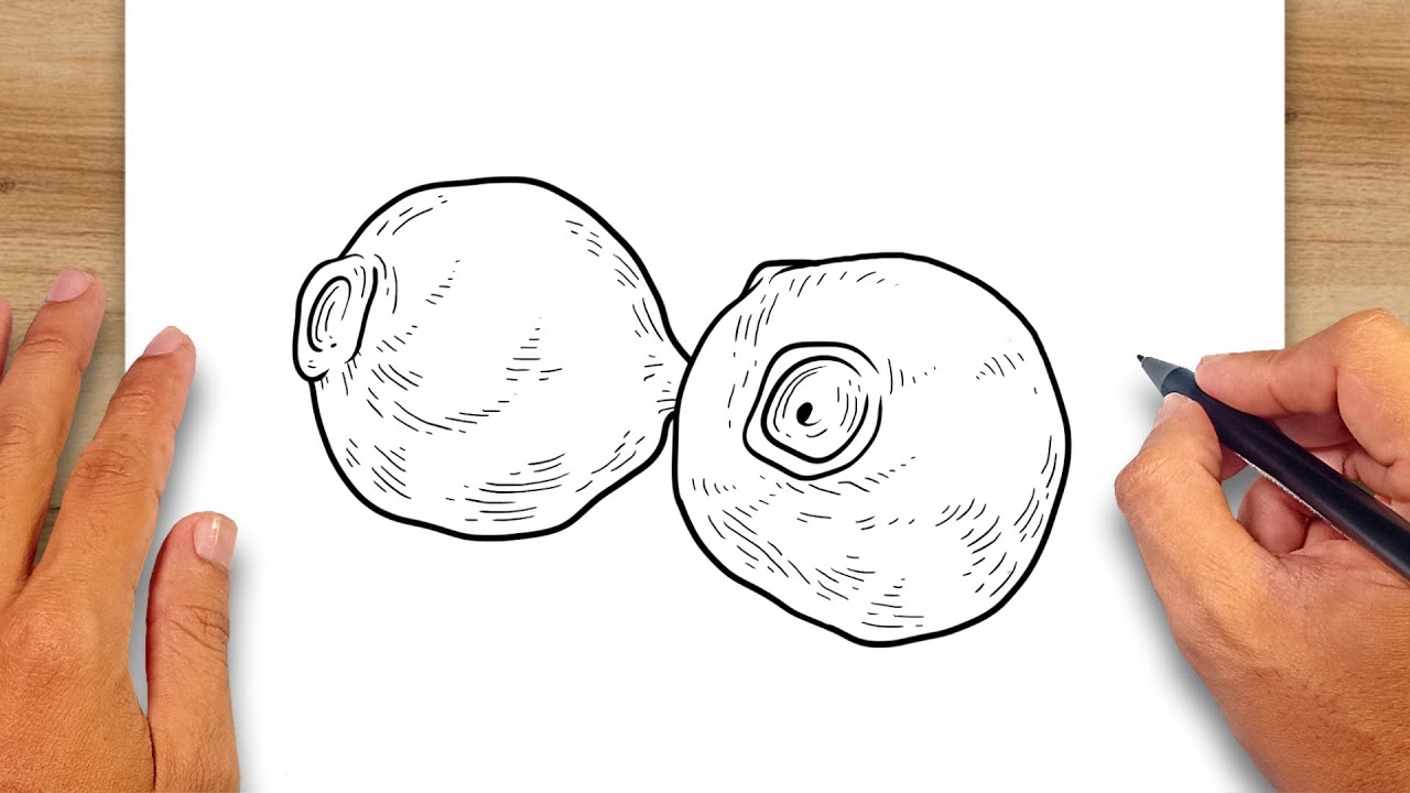 How to draw Allspice - Spices Drawing
