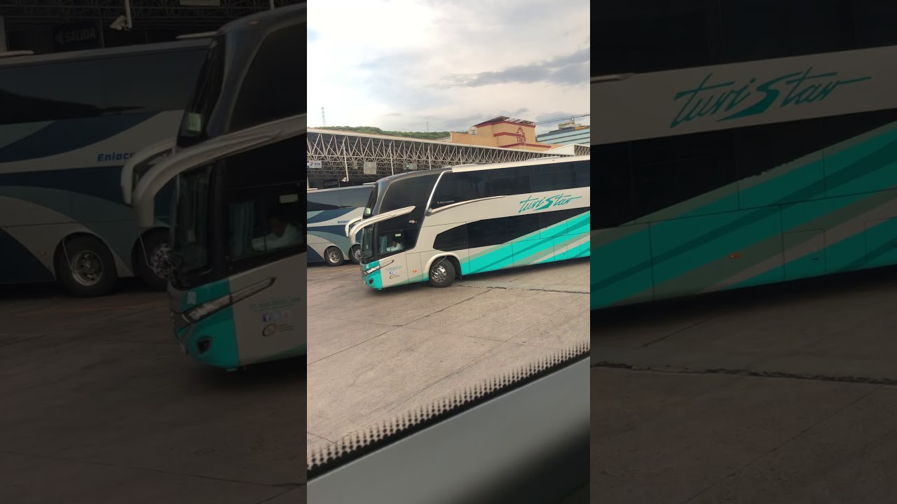 Turistar Lujo Marcopolo 2019