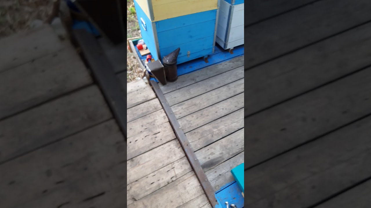 оборудование облегчаюшее работу на пасеке.