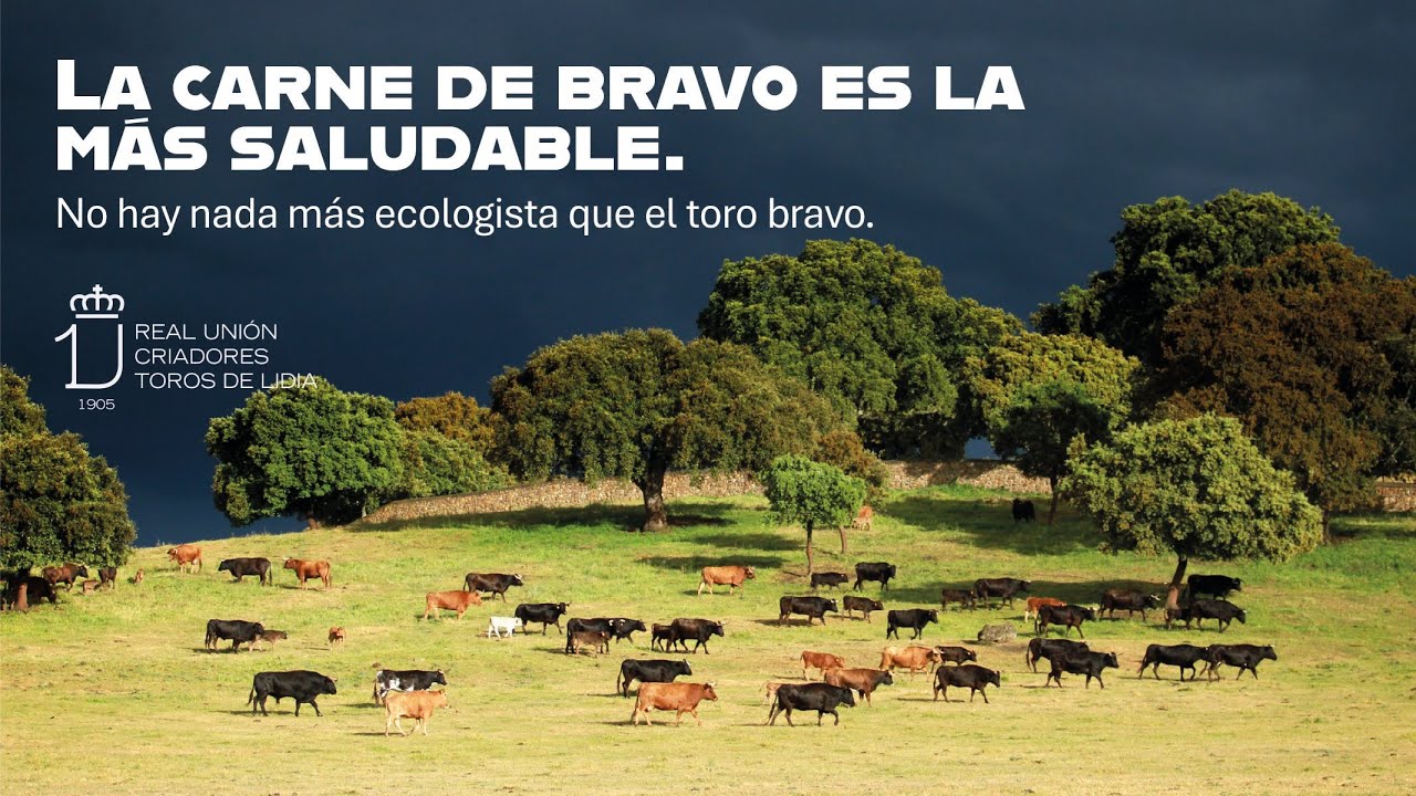 Esto no es una moda. Esto es ecología: la carne de bravo es la más saludable.
