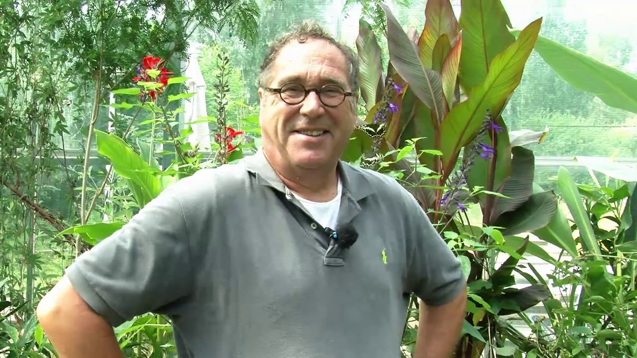 ,,Op bezoek bij,, Vlindertuin DE KAS in Zutphen