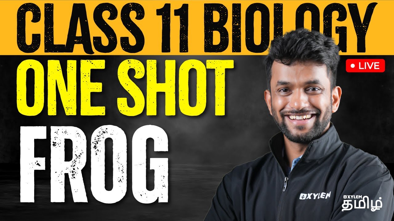 FROG - ONE SHOT | CLASS 11 BIOLOGY | NEET 2024 | Xylem NEET Tamil