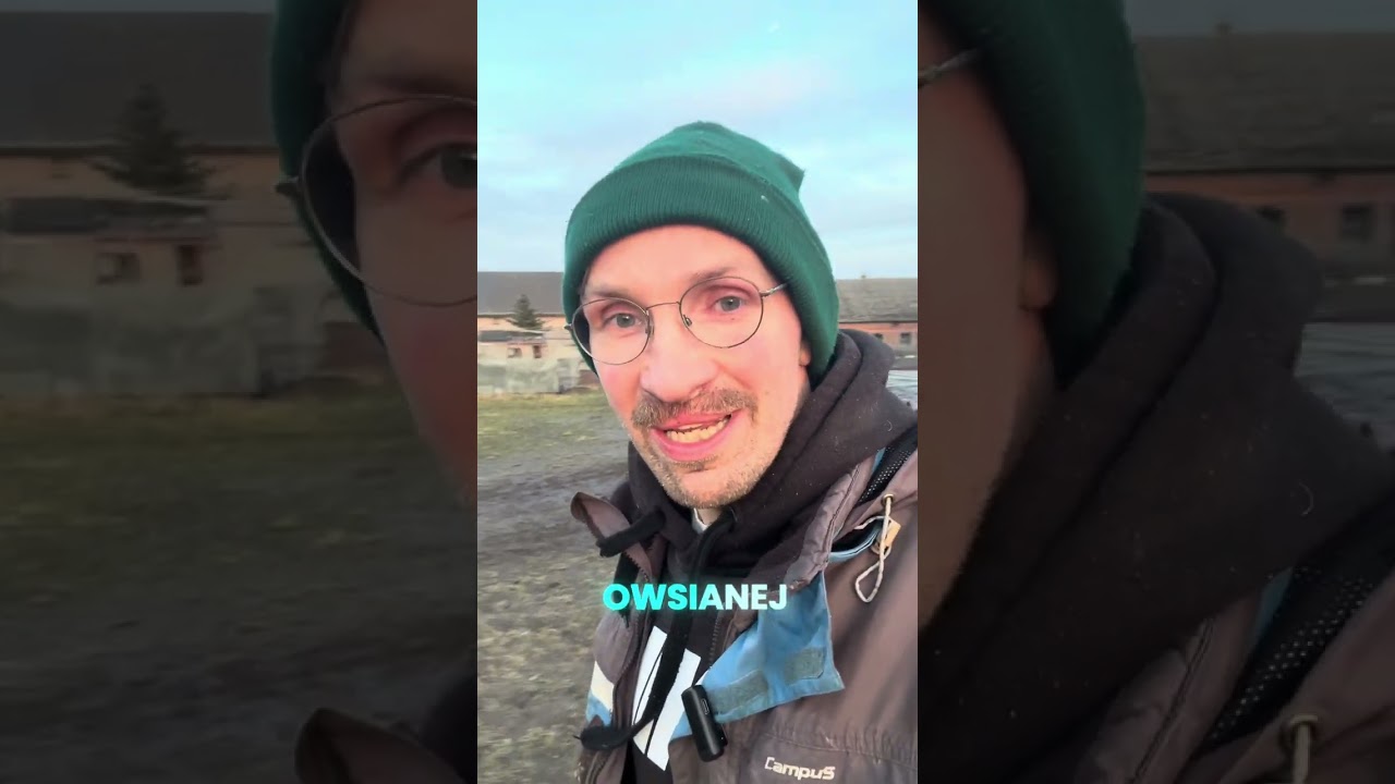 W Kołudzie Wielkiej wybito całe stado, teraz będzie trwała odbudowa stada zarodowego nr 1 w Polsce