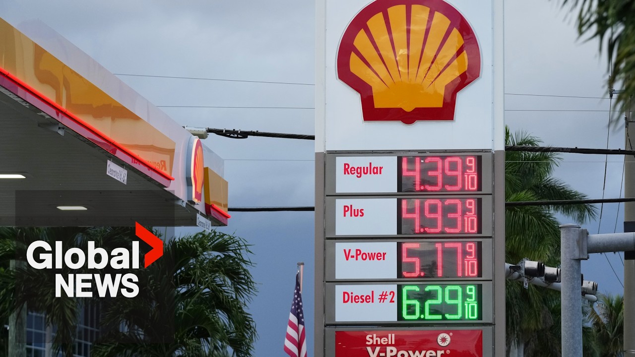 G7 to release 100 million barrels of oil reserves as diesel prices surge