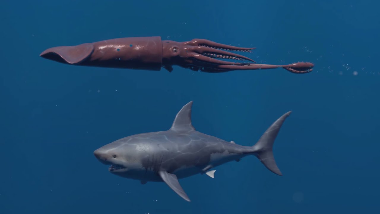 Giants Squid kraken vs Megalodon #megalodon