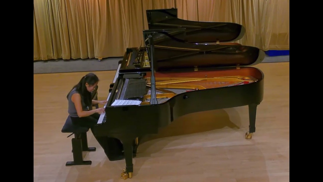 Schumann Abegg Variations, Op 1