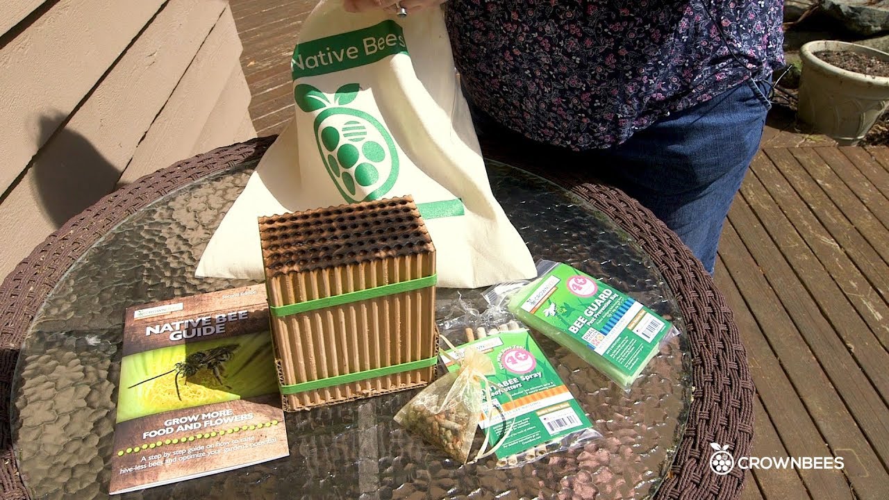 How To Upgrade Your Bee House for Summer Leafcutter Bees