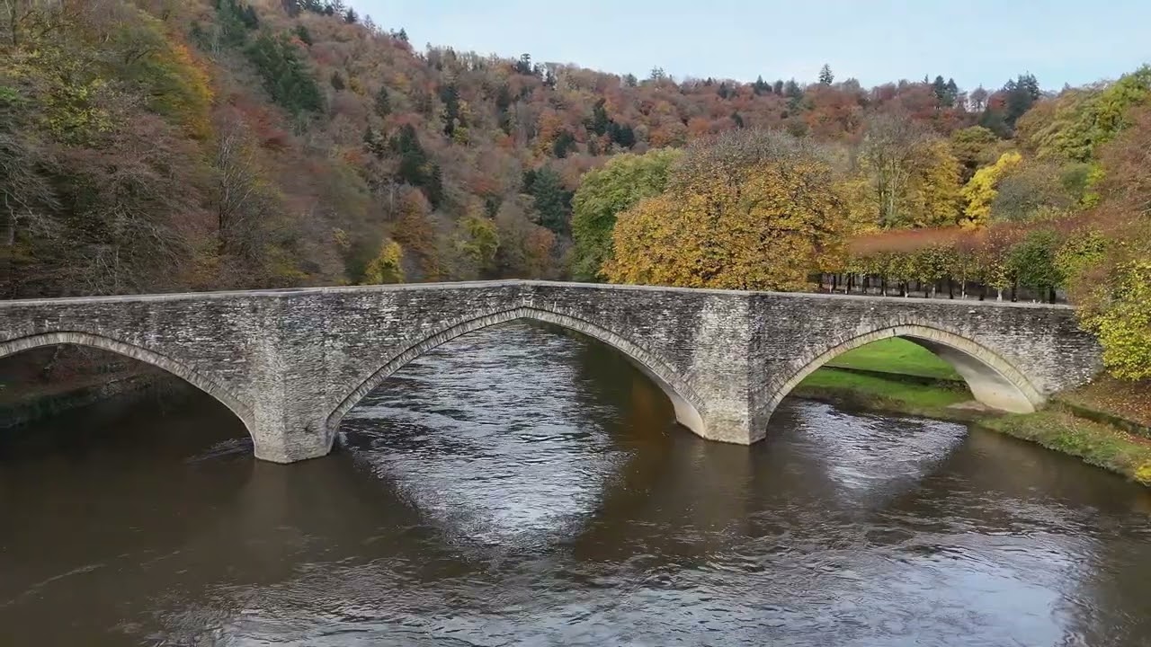 Bouillon ♥