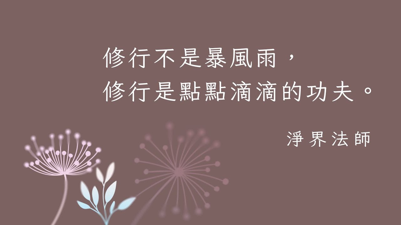 修行不是暴風雨，修行是點點滴滴的功夫  #淨界法師 #正見基礎 #佛陀過去生第一次發菩提心的因緣