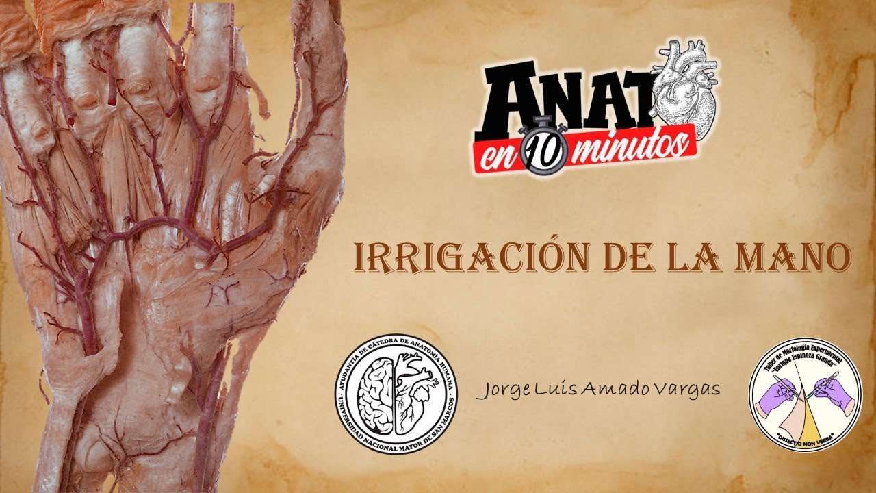 IRRIGACIÓN DE LA MANO - PROYECTO ANATO EN 10 MINUTOS
