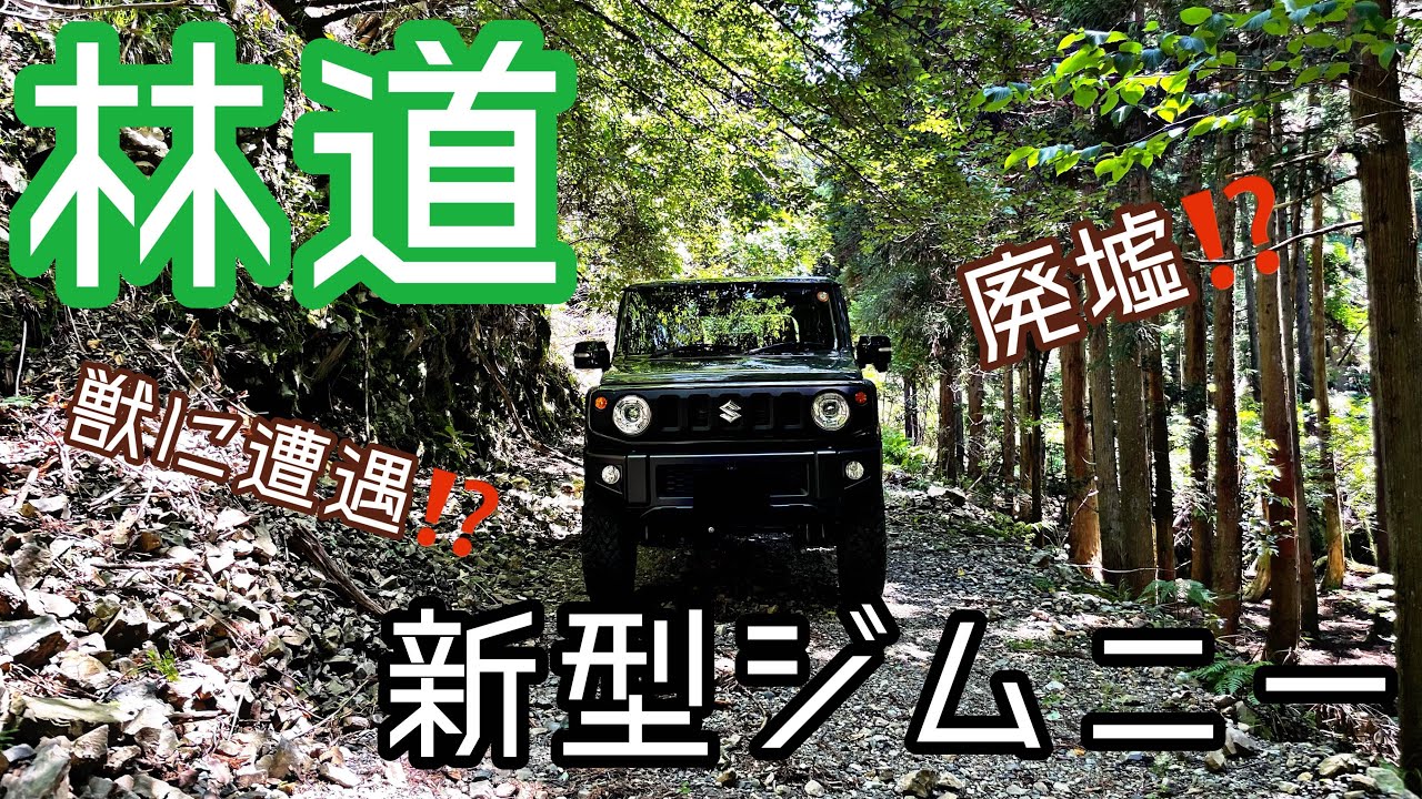 【ジムニードライブ】ジムニー初心者が初めて林道を走ってみた！