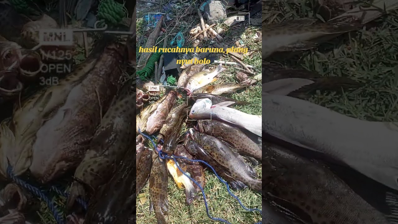 Pantai Baruna spot plung nyut #mancing_dasaran #fishing