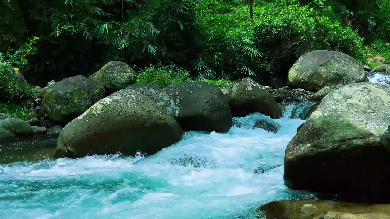 Peaceful River Flow & Birdsong | Relaxing Nature Sounds for Deep Sleep
