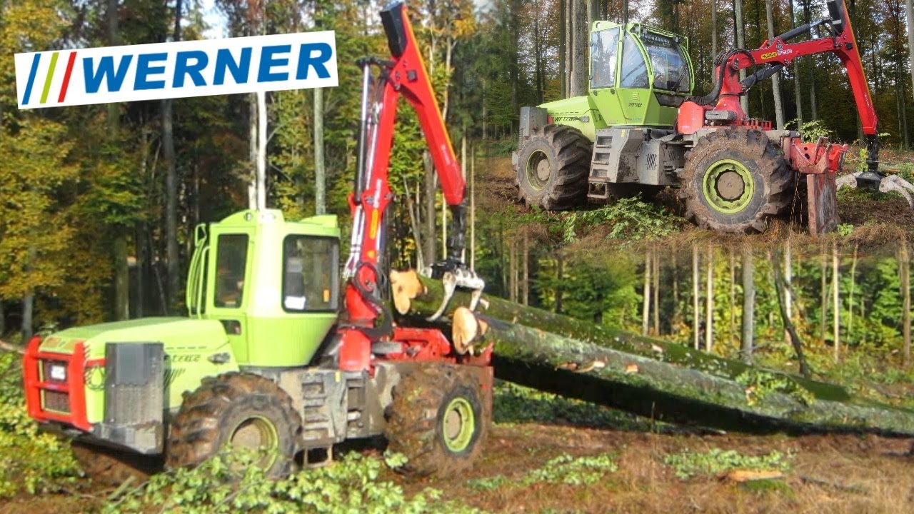 WF Trac 1840 🌲 Langholz Rücken im Buchenwald