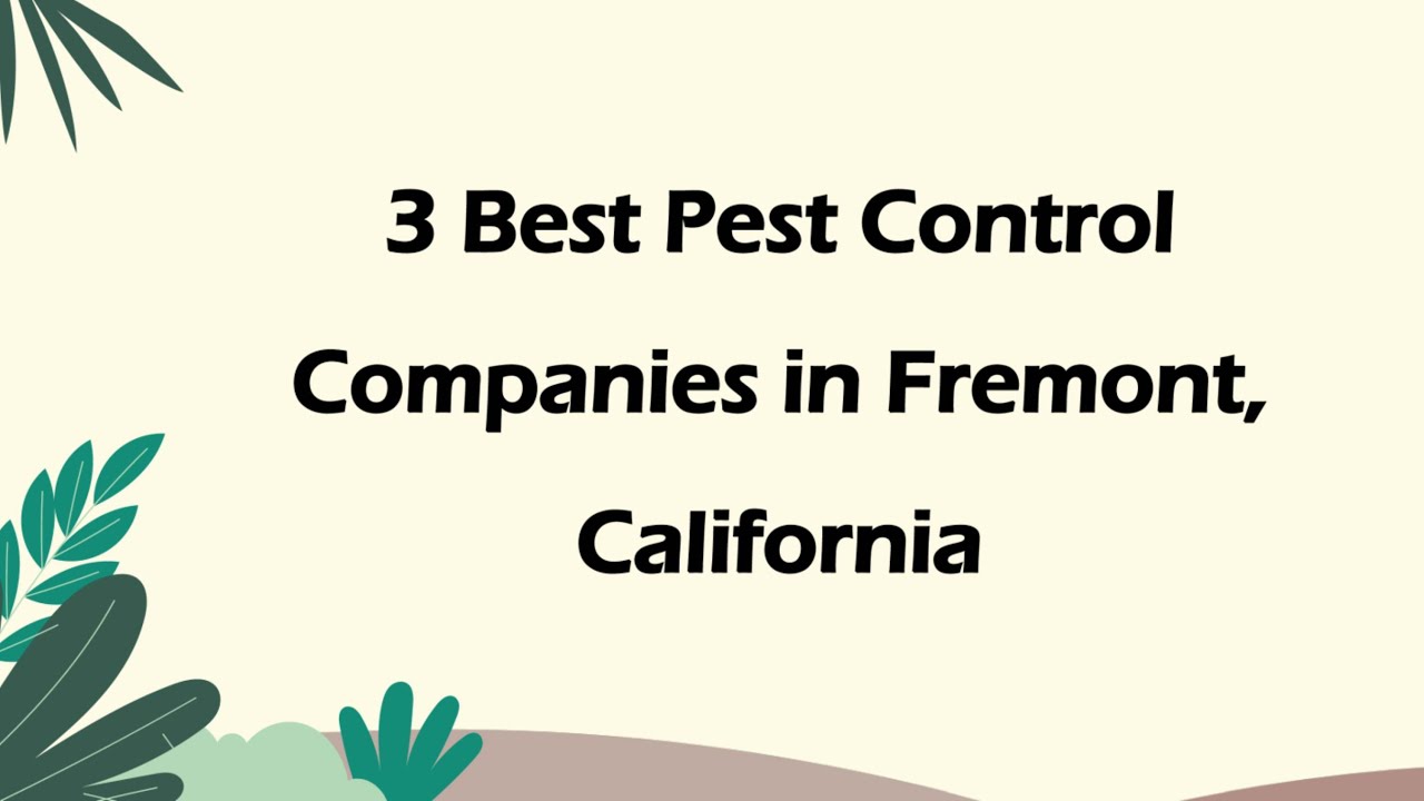 3 Best Pest Control Companies in Fremont, California | Pest Extermination