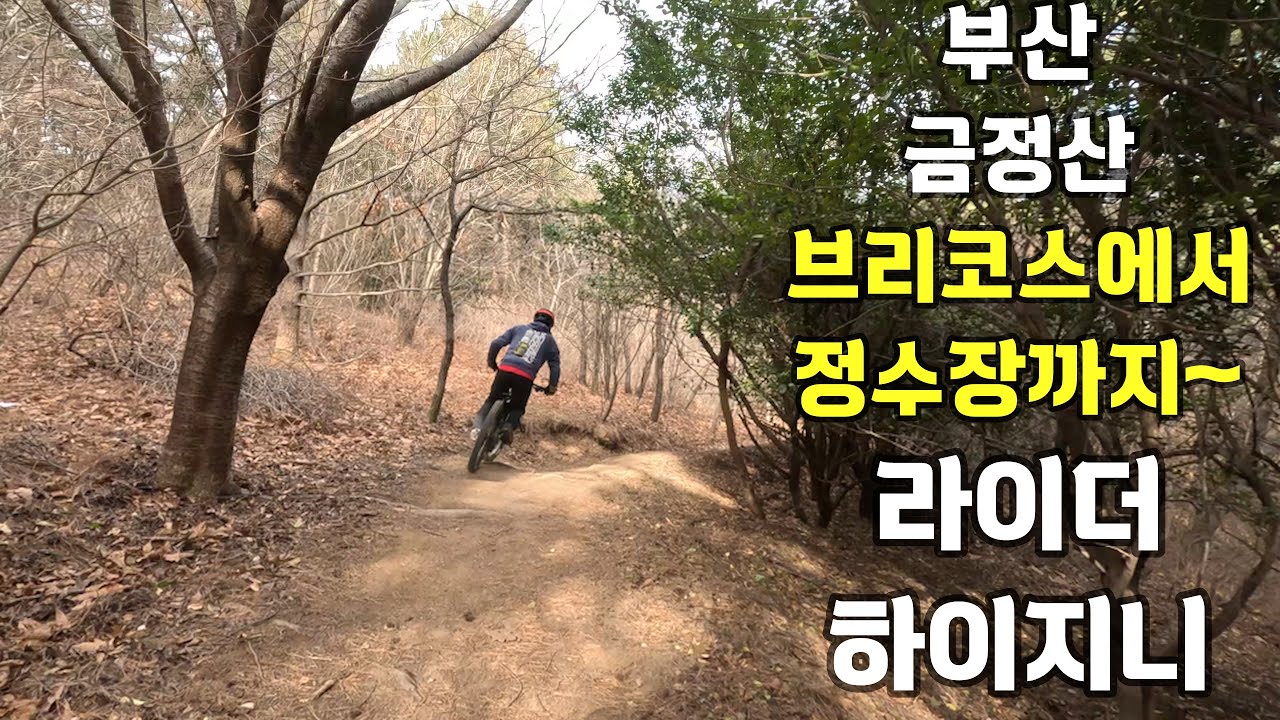 부산 금정산 브리코스에서 정수장까지 신나게 달려보자~#하이지니#와일드바이크자갈치#라인eMTB클럽