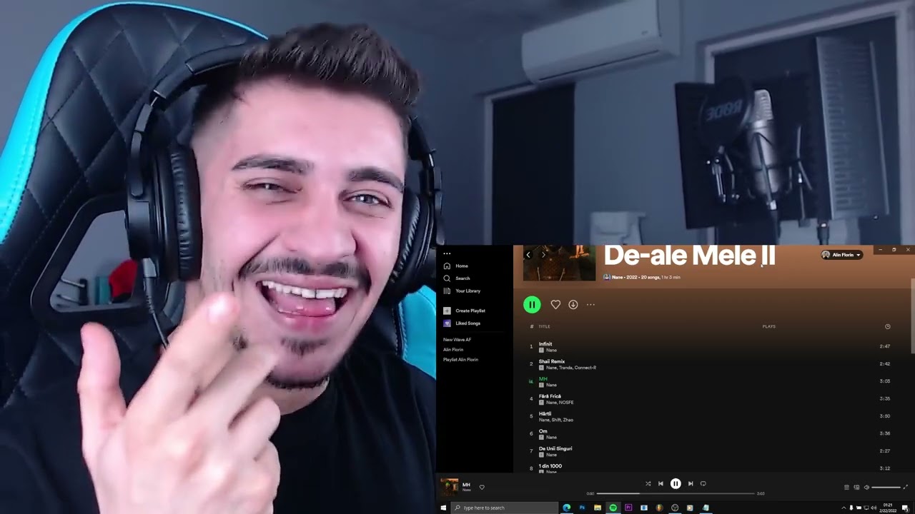 Reactie Alin Florin DE-ALE MELE II