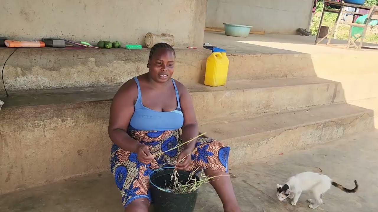 Hạt giống tự cấp, tiền tự thu, chúng tôi đang ổn định cuộc sống|| Gia đình Châu Phi