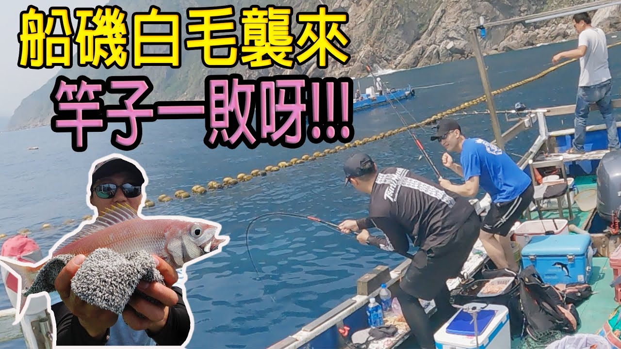東澳船磯，白毛拉不起來，只能欺負其他的魚.........#船磯 #磯釣 #東澳粉鳥林