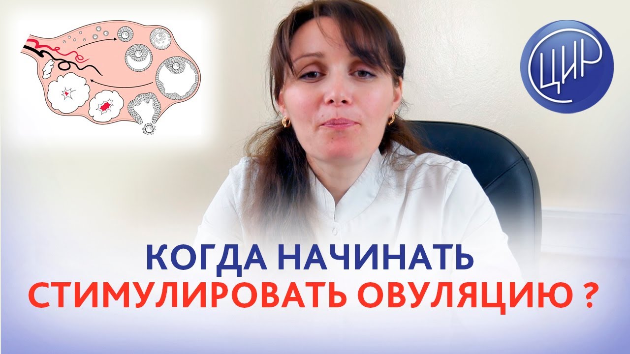 Стимуляция овуляции. когда начинать стимуляцию овуляции? Кломифен, летрозол, гонадотропины.