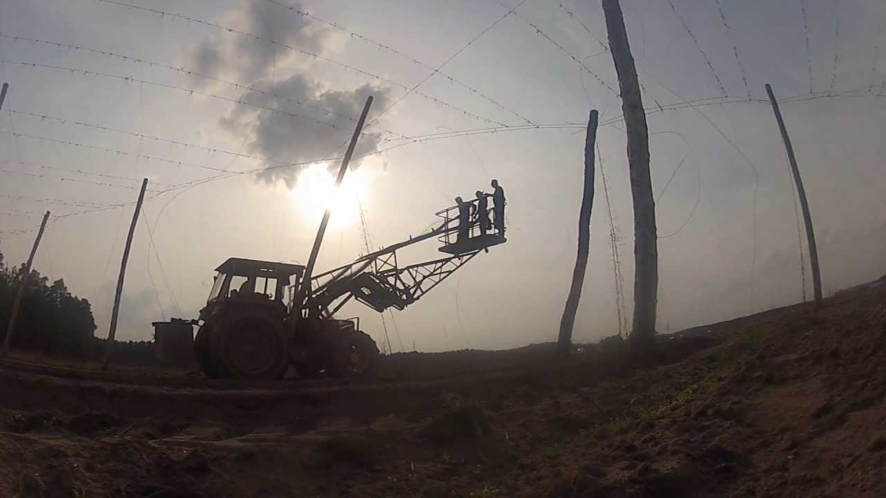 Arbeiten im Hopfengarten -3- Dr&auml;hte ziehen und Hopfenkreiseln