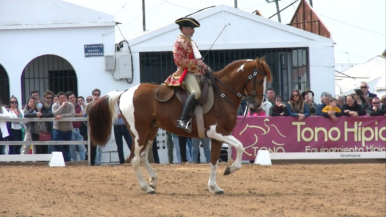 Cartaya Tv | XX Feria del Caballo: Exhibici&oacute;n de Doma