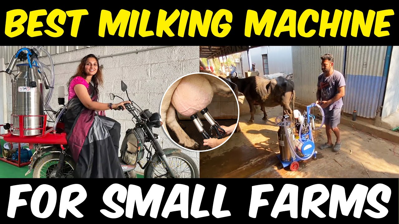 Best Milking Machine for small Dairy Farms | Milking Machine for Cows & Buffalo | Price in India