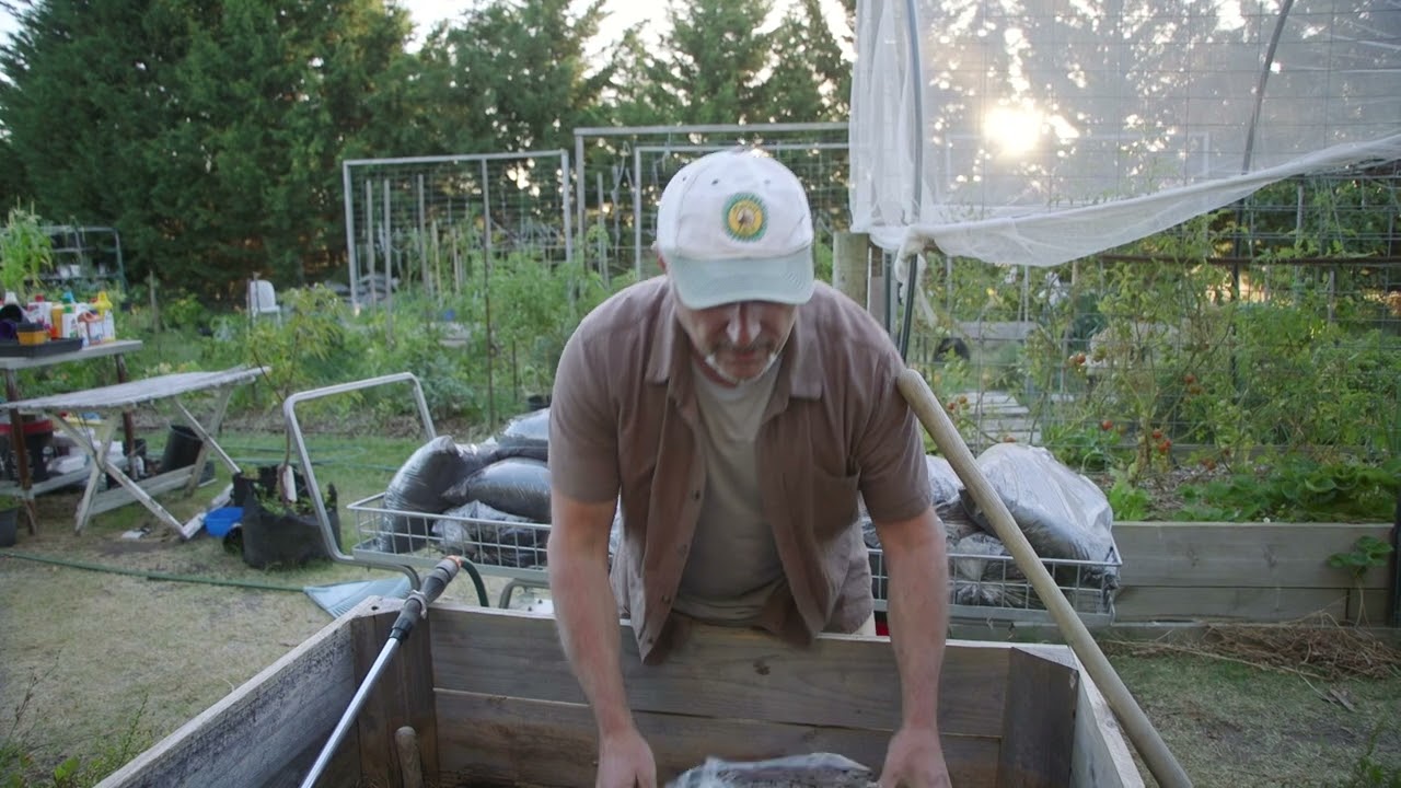 Rebuilding Dead Soil - Part 2