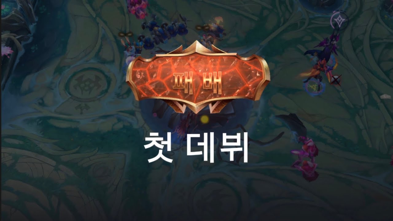 첫데뷔