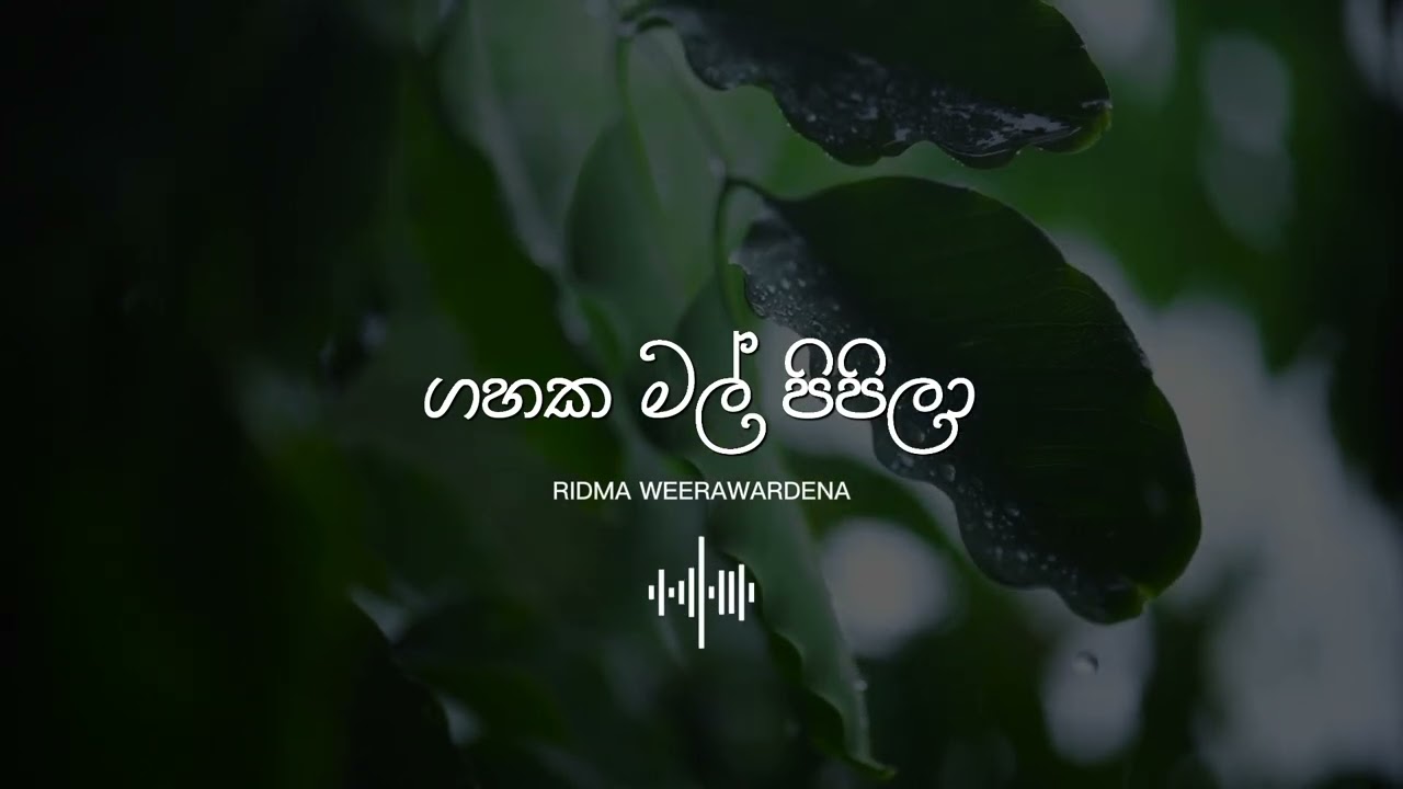 Gahaka Mal Pipilaa &ndash; Ridma Weerawardana | Slowed + Reverb | Emotional Sinhala Song