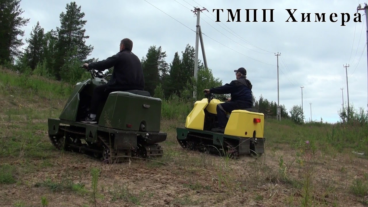 ТМПП Химера_2