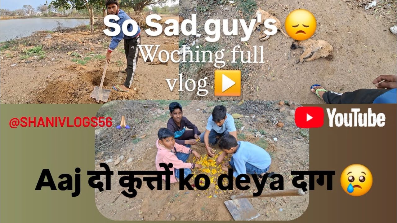 Aaj do kutta mar ga bhai || New vlog || shanivlogs56 