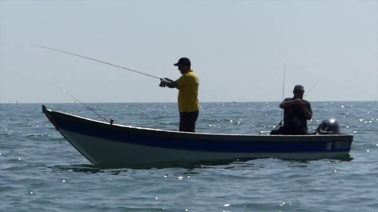 Totanare Yamashita in laguna di Venezia