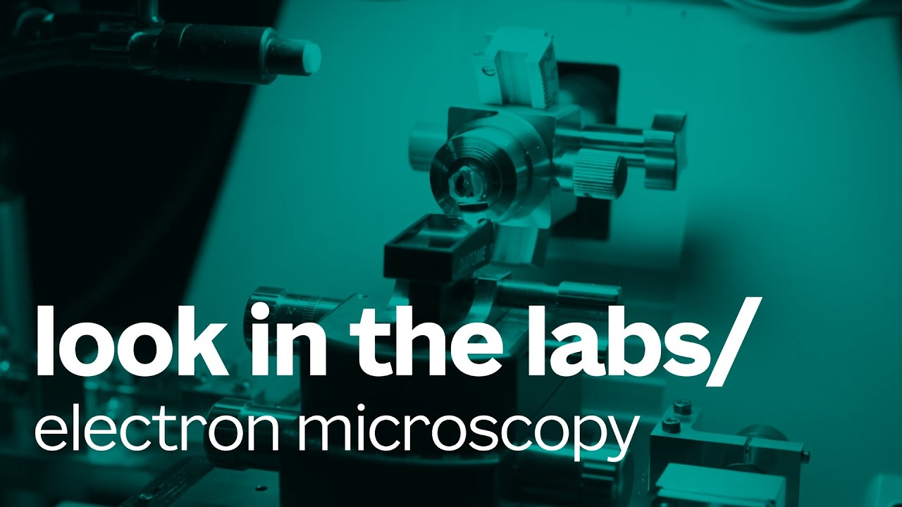 Look in the labs | Electron Microscopy Suite