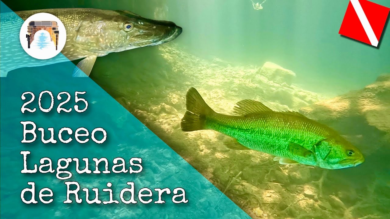 BUCEO Lagunas de Ruidera 2025