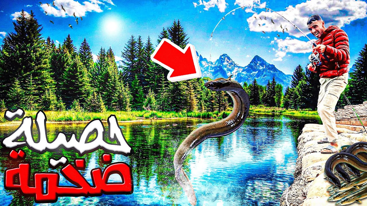 العيش الحر: تحدي صيدالأنقليس🐍في واد أم ربيع في جو شتوي ⛈️الصيد وطبخ 😋🏕️