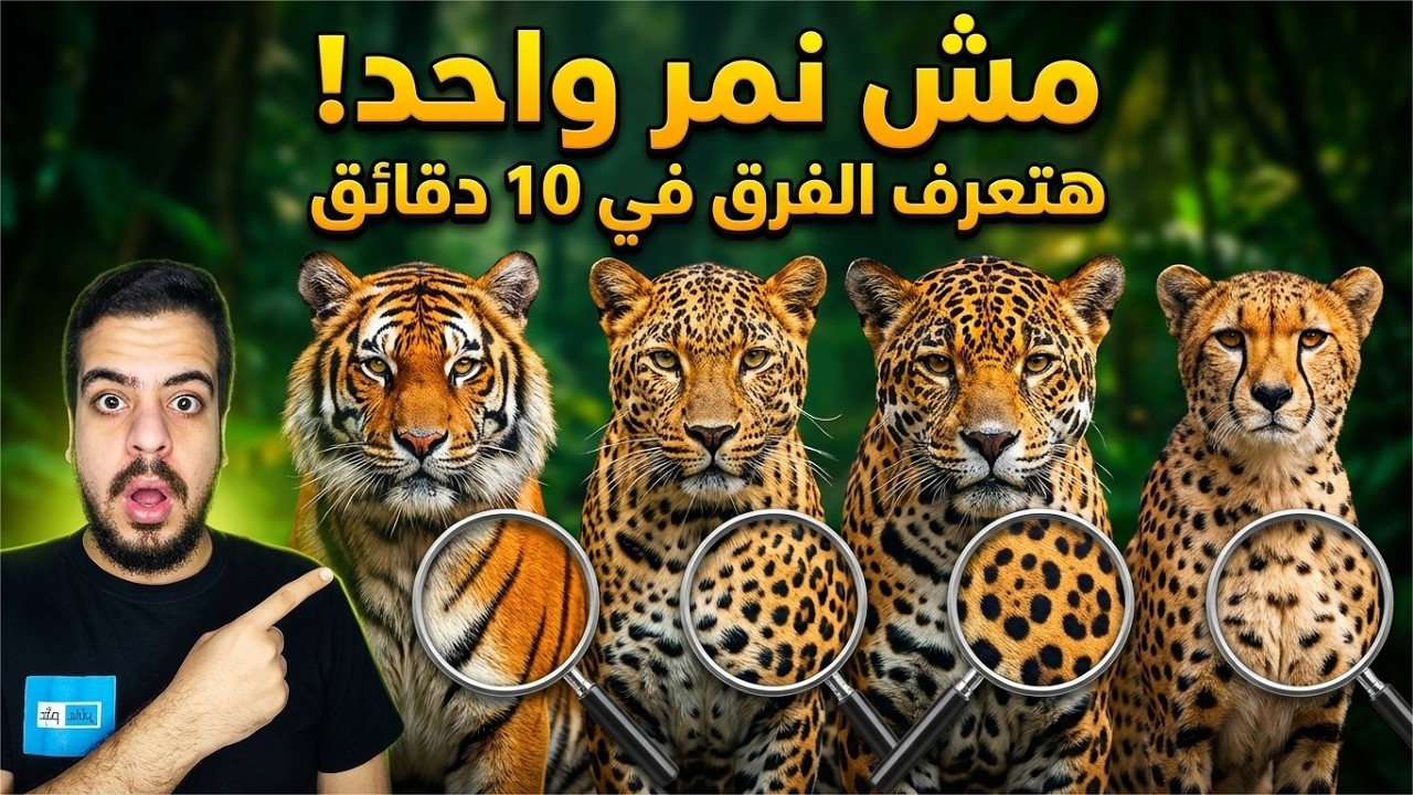 4 حيوانات الناس فاكرة إنهم واحد | الحقيقة العلمية بالصور