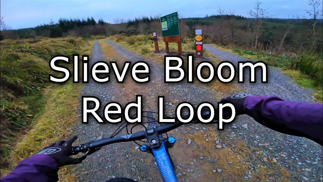 Slieve Bloom MTB Red Loop - Baunreagh Trailhead
