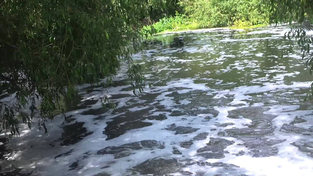Watermead Country Park!