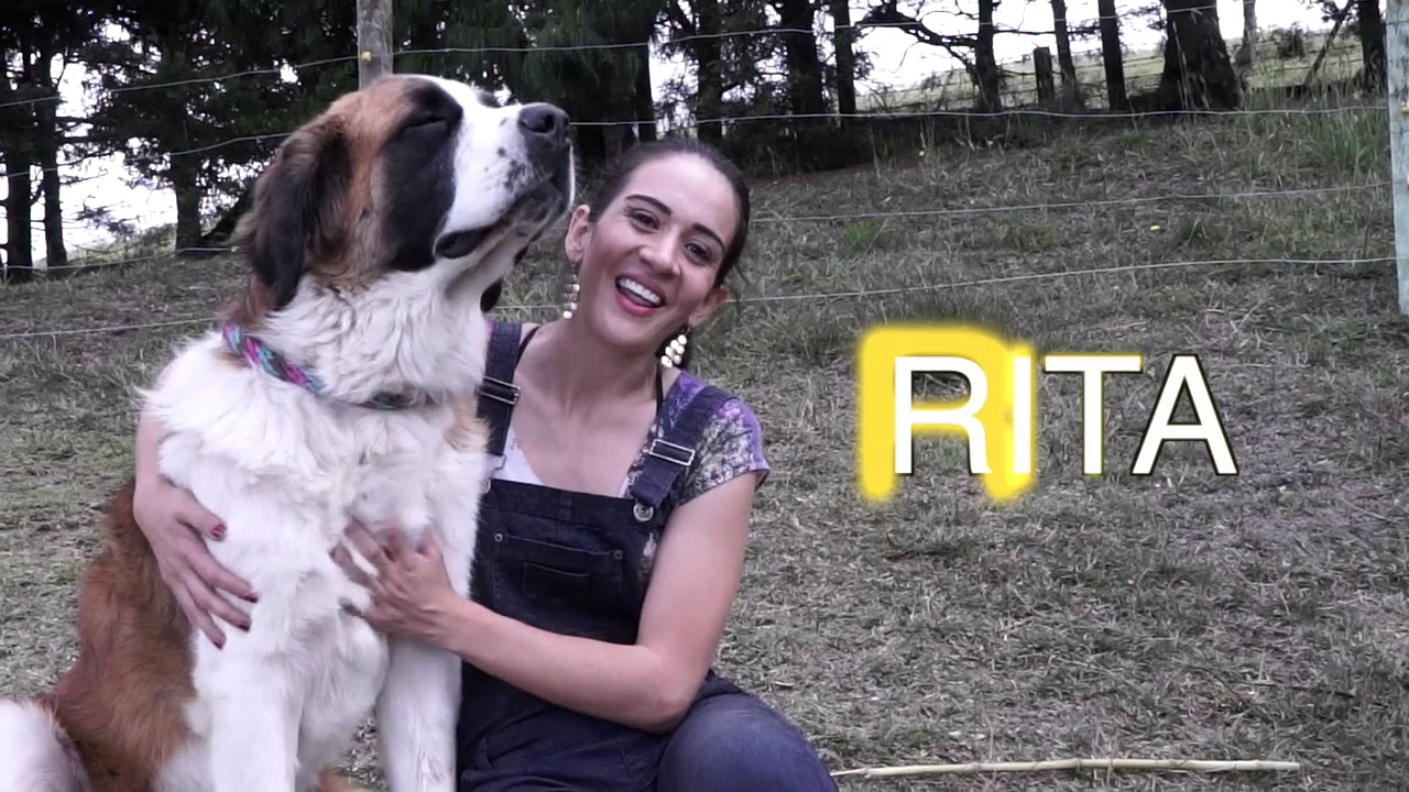 COMÓ LLEGUE A TENER TANTOS PERROS! - AdriLatinaTv