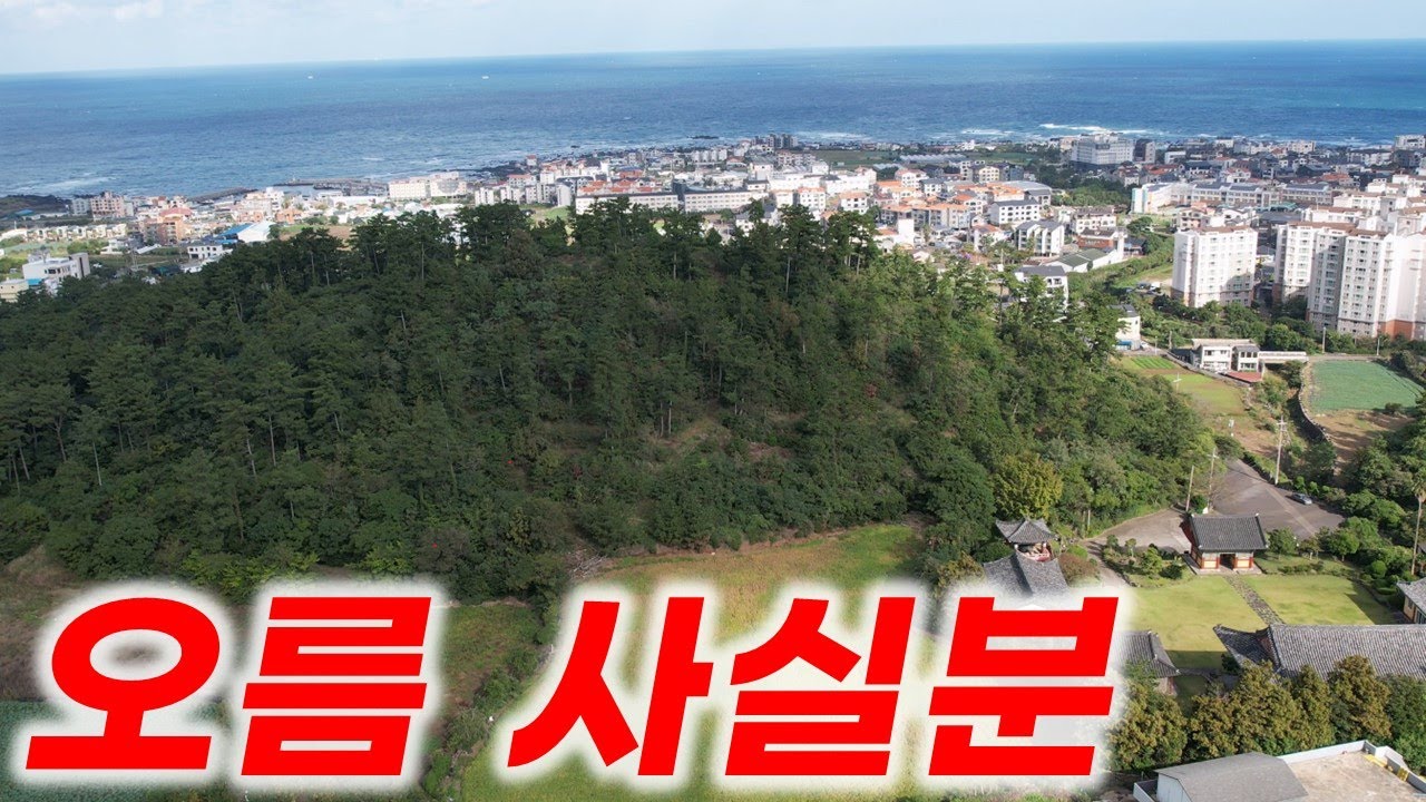 충격적인 제주도 부동산을 소개 합니다 L-332 이런 종류의 매물도 있군요!!!
